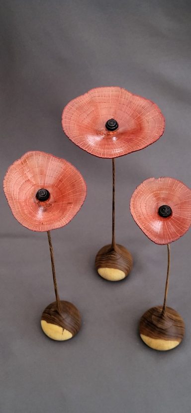 We will remember them